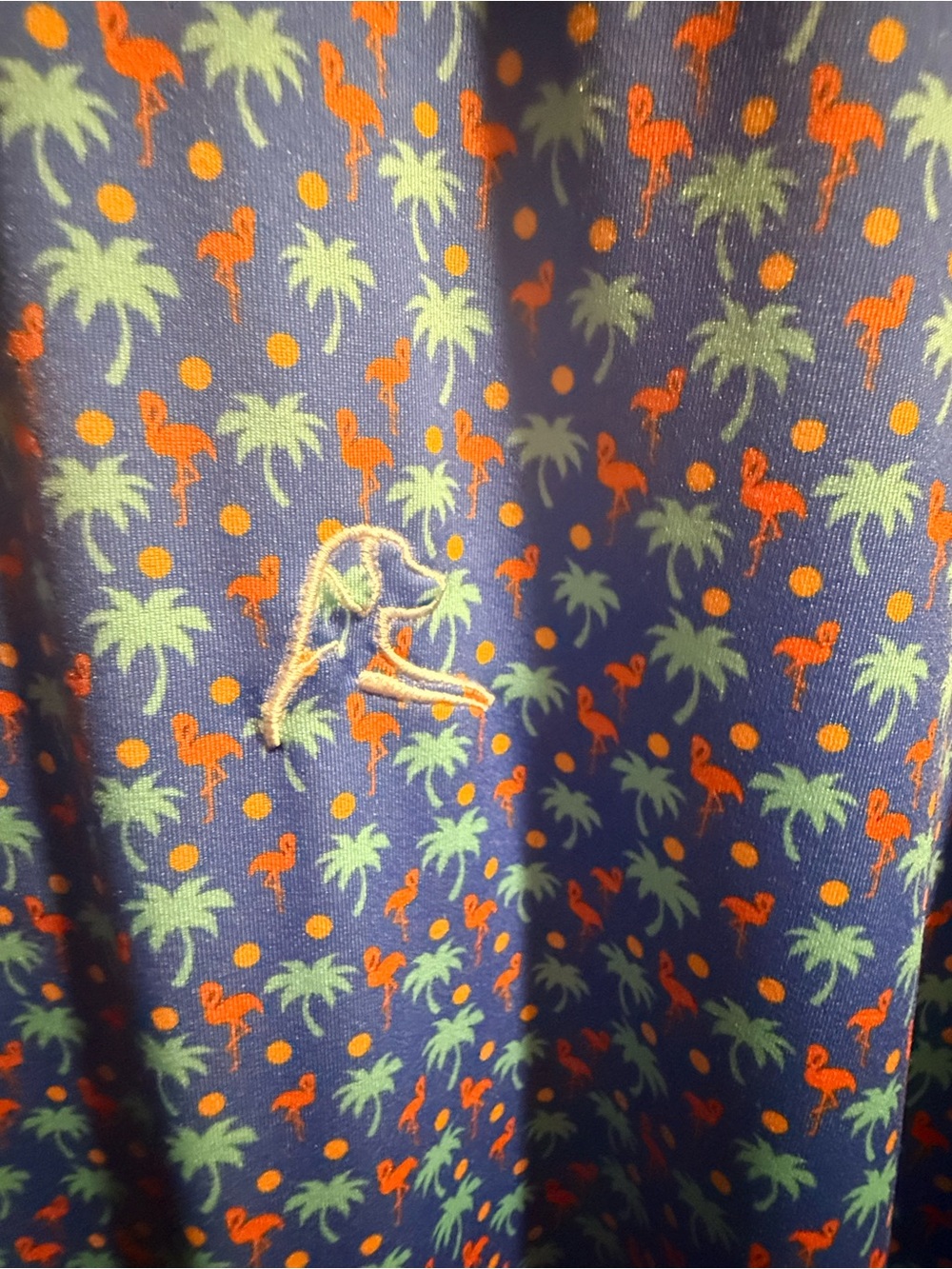 Men’s Rhoback polo